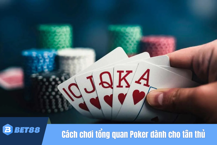 Cách chơi tổng quan poker dành cho tân thủ